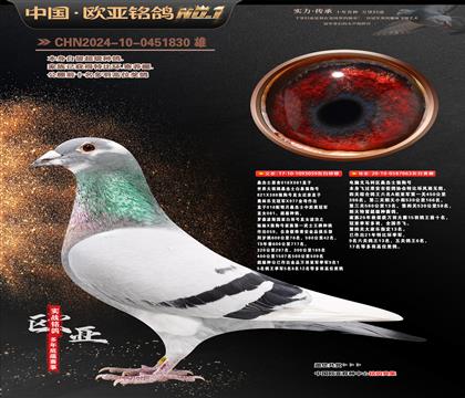 ɣ��ʿԭ��018X061ֱ��059X����Xɣ��ʿ�ǹ���063