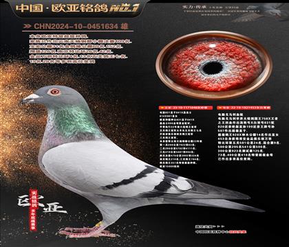 ����ɣ��ʿ048X���Ը�����453