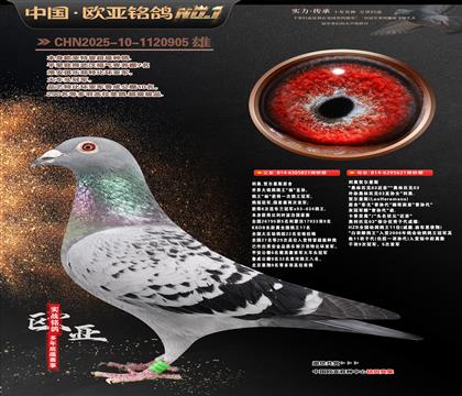 ����.�ض���˹ԭ��851X621