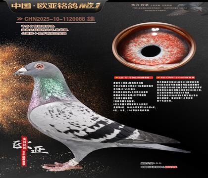 ղɭ�����к�ֱ��768X���˹695ֱ��Ů167