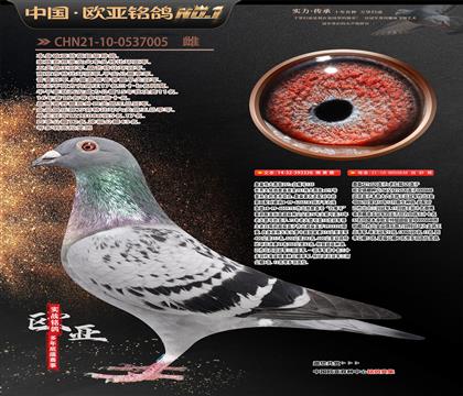 ղɭ251ֱ��326X766ֱŮ848