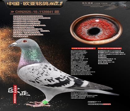 ղɭ�������Ĺڸ�������124X919ֱŮ080