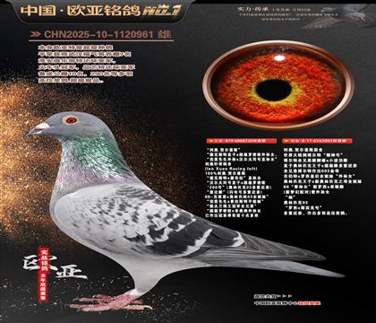 ����ԭ��220X���������۴�003