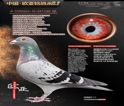 ղɭ�������Ĺڸ�������124X919ֱŮ080