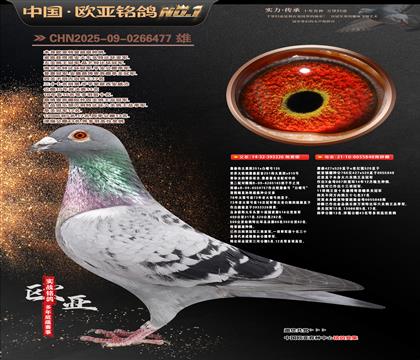 ղɭ251ֱ��326X766ֱŮ848