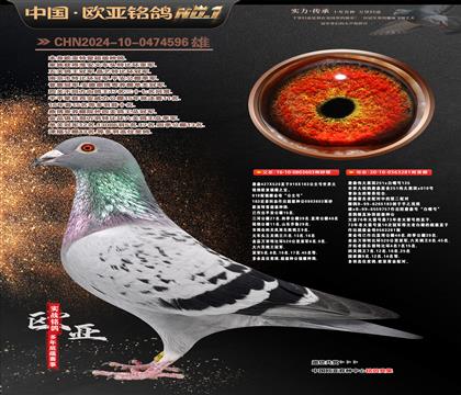 ղɭ919ֱ��603Xΰ��ڰ�281