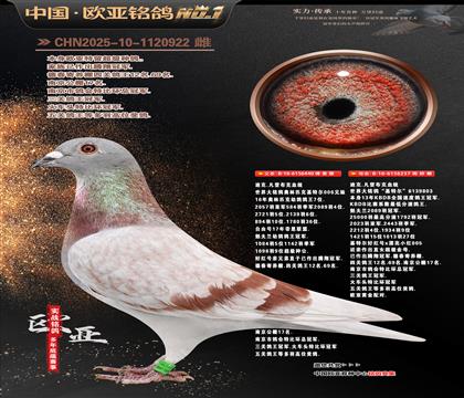 �Ͽ�.���ǲ���440X���ض�237�ƽ����