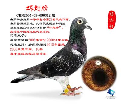 ��Զ�����룺�����