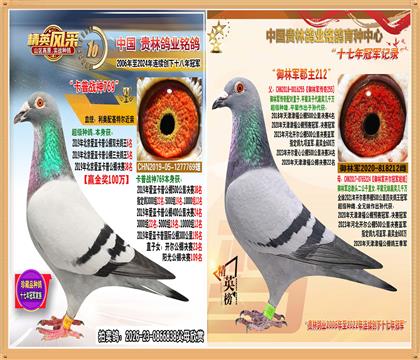 �����ہ����չ�������5��ֱŮ