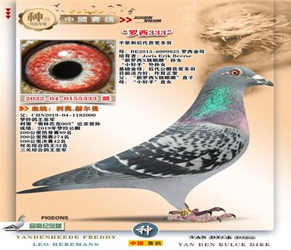 3-[�W��ƥ��003���H]+[����4��ƽ݅]