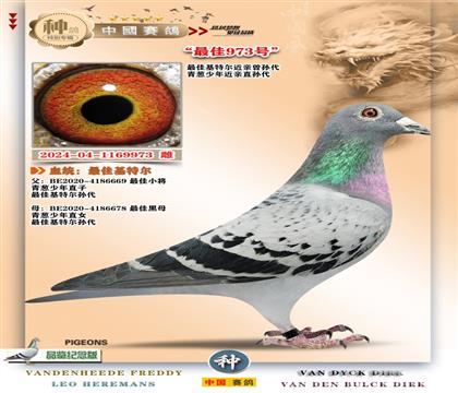 4-[��ѻ��ؠ����H]+[���[����]ֱ��XֱŮ973