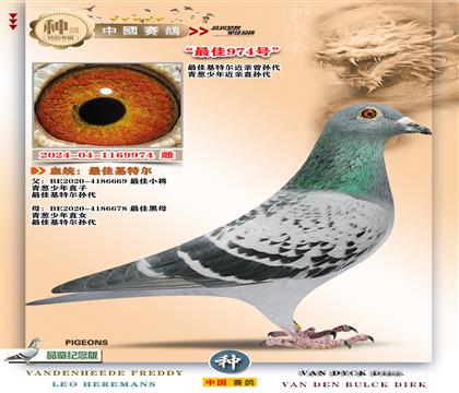 5-[��ѻ��ؠ����H]+[���[����]ֱ��XֱŮ973