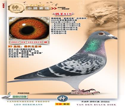 6-[��ƿ��������]+���P(gu��n)����35