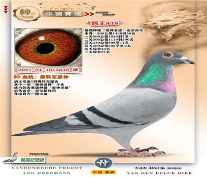 7-[��ƿ��������]+�������P(gu��n)7��+11��