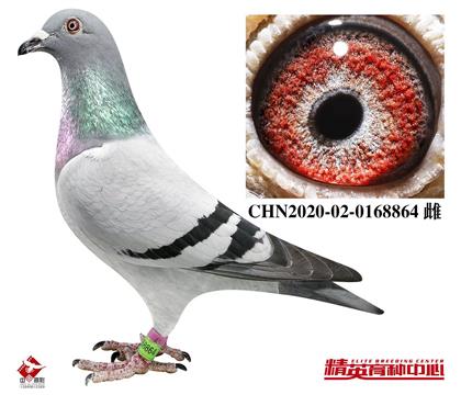 �W(li��n)�w���W늽��H ���������������p