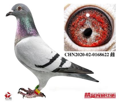 �W(li��n)240���H ���������������p���@���I�^�W(li��n)��Ư����������