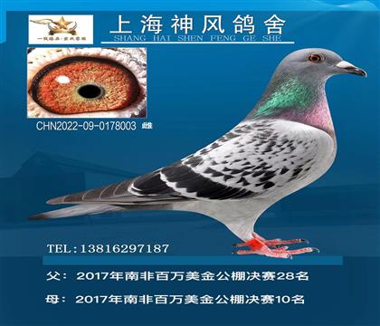 �Ϻ����L(f��ng)������ �������㘷�����p����ƫ��������