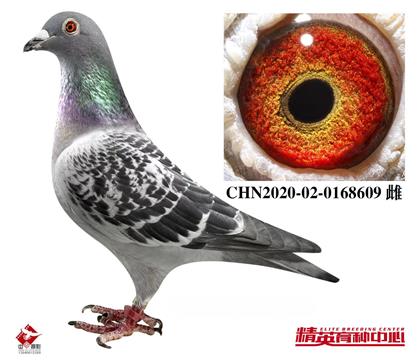 �W(li��n)�����fԪ�M���P(gu��n)�C�Ϲ�܊ȫ�����������������p����