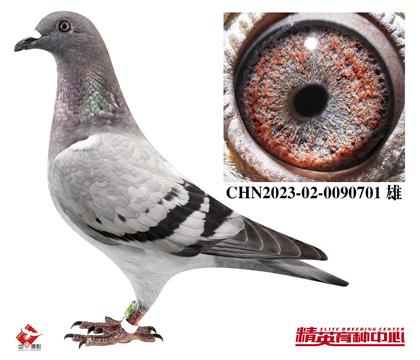 �W(li��n)���� �������������p��