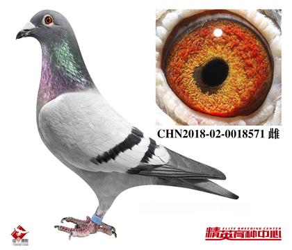 �W(li��n)���ڸ��|(zh��)���Nĸ������ӌO���ѽ�(j��ng)�l(f��)�]̫������