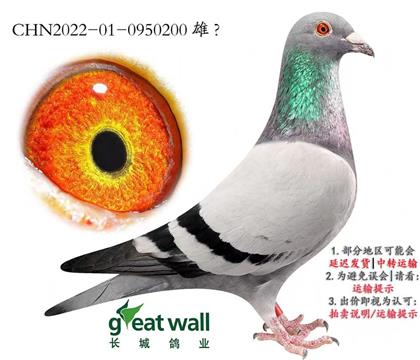 �L(zh��ng)�����I(y��)20���_��(chu��ng)���P(gu��n)�C�ρ�܊ĸ�Hƽ݅�����L(zh��ng)�ǁ�܊ֱ��