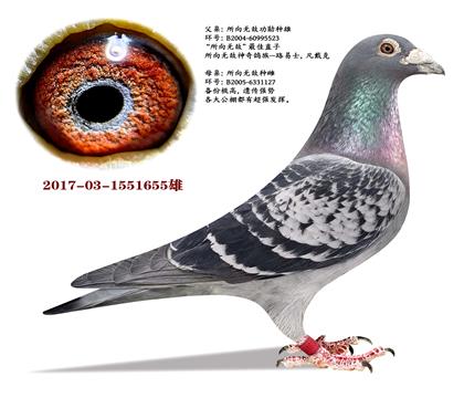 �����ˡ�����o����ֱ��X������o����ֱŮ