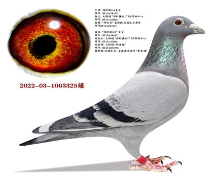 ���r��911ֱ��X���r��911ֱŮ