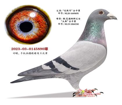 ��.������˹���o��̖��ȫƽ݅X���󱼡�ȫƽ݅