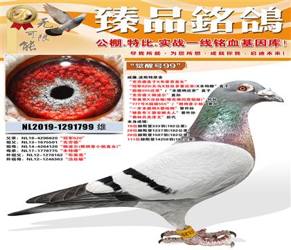 ����.��˹��ԭ�ᡰ�X��̖99�������ɿ�: 18λ��˹��333