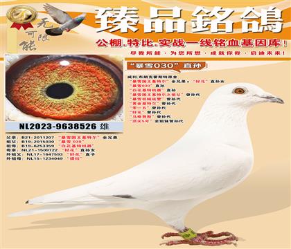 ����.���ʿ˻�˹��ԭ�ᡰ��ѩ030��ֱ�O ���׻����ؙC����ֱ