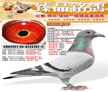 500����7�����D��˹���硱ֱ�O�����ڰ߈D��˹��ֱ�OŮ