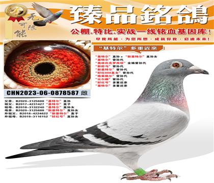 �����ؠ���ֱ�O�����»��ؠ���ֱ�OŮ �����ؠ������O�� ���W��