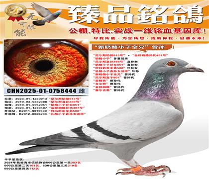 ���᠖˹����913̖���������ؙ��ƌO��487̖�� ������С��