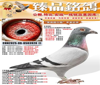 ���D��˹���硱ֱ�O�����ڰ߈D��˹��ֱ�OŮ  ���D��˹���硱��