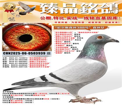 ���᠖˹����913̖�������W��ƥ�����f����Ѫ�� ���᠖˹ֱ�O