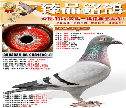 ����?sh��)ϡ����Hֱ�O�����Ͽ�����W��ֱ�OŮ ���������?sh��)ϡ����O��