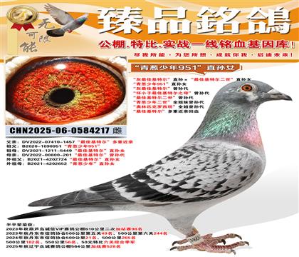 ������ѻ��ؠ���ֱ�O������ѻ��ؠ�������ֱ�OŮ �����[����9