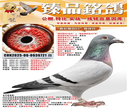 ��ղ��˹801�O���������½�ķ��Ѫ237̖�� ���S���䌦ֱ��