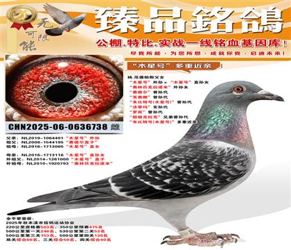 ��ľ��̖����O����ľ��̖��ֱ�OŮ ���W��ƥ�����Z�ס���OŮ