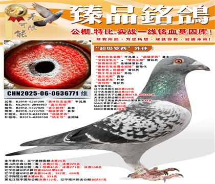 �������_������O���W��ƥ��ȸ�����ֵܡ����������_��ֱŮ��