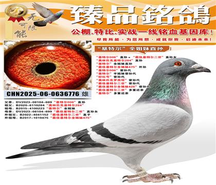 �����ؠ�006��ֱ�O������ѻ��ؠ�������ֱ�OŮ ���W��ƥ�˻�