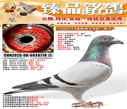 ��SSG/1J�ٶ�����8����ֱ�� ����?sh��)ϡ����Hֱ�O�����_�ʡ�