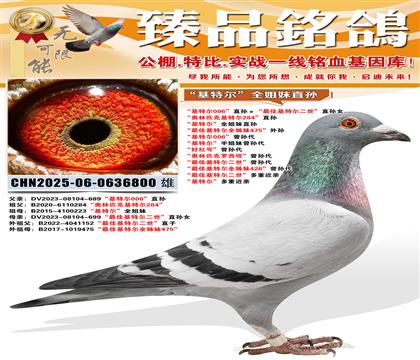 �����ؠ�006��ֱ�O������ѻ��ؠ�������ֱ�OŮ ���W��ƥ�˻�