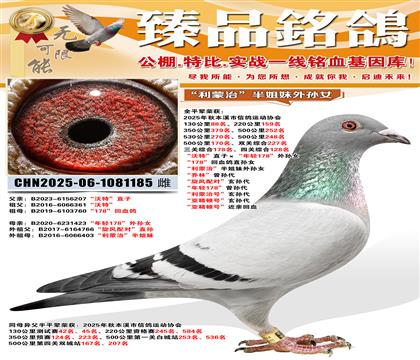 �����ء�ֱ�ӡ������p178����OŮ ��178����Ѫ��ֱ�OŮ