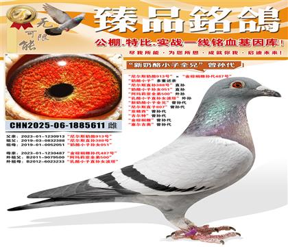 ���᠖˹����913̖���������ؙ��ƌO��487̖�� ������С��