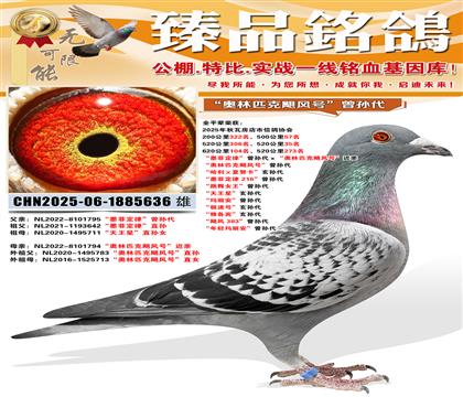 ��ī�ƶ��ɡ����O�������W��ƥ���Z�L(f��ng)̖�����H ���W��ƥ���Z�L(f��ng)̖