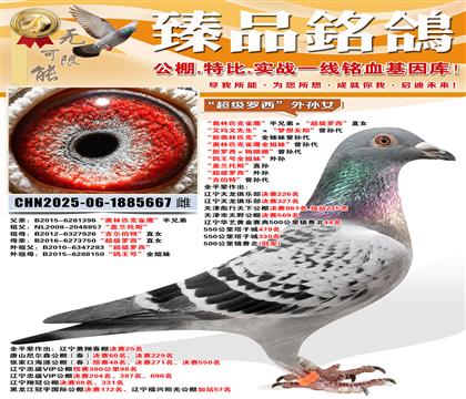 �������_������OŮ���W��ƥ��ȸ�����ֵܡ����������_��ֱŮ��