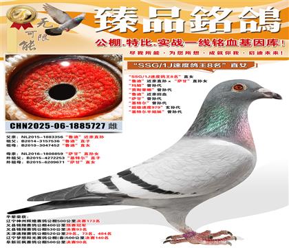 ��SSG/1J�ٶ�����8����ֱŮ ����?sh��)ϡ����Hֱ�O�����_�ʡ�