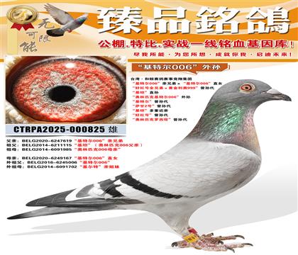 �����ؠ�006���H�ֵܡ������ؠ�006��ֱŮ ���üt̖ȫ�ֵ�