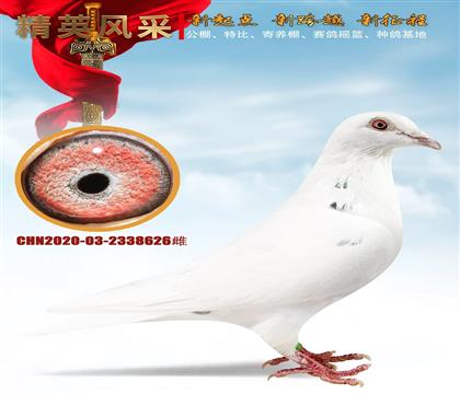 �L(zh��ng)����?sh��)? width=